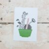 carte postale cactus