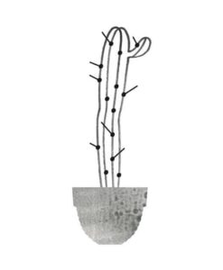 Carte Cactus Audrey Jeanne