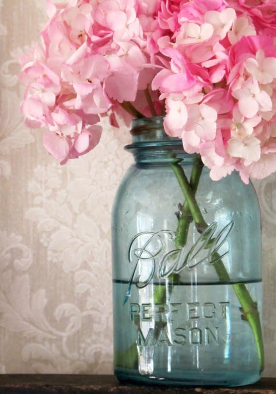 Mason Jars fleurs vases