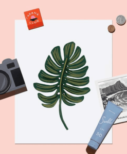 Affiche Monstera Rifle Paper Co