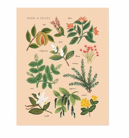 Affiche Herbes et épices Rifle Paper – Pêche