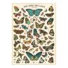 Affiche Nos bons papillons Cavallini