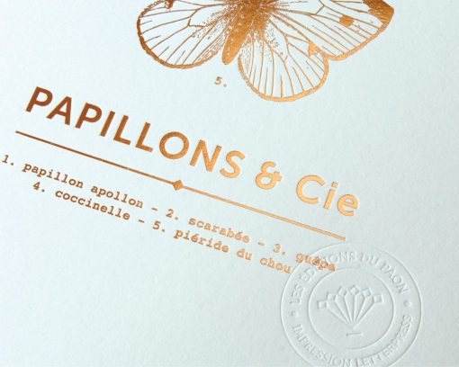 Affiche Papillons & Cie Les Editions du Paon vert d’eau