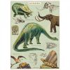 Affiche pédagogique Dinosaures Cavallini & Co
