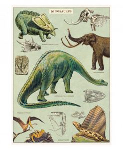 Affiche pédagogique Dinosaures Cavallini & Co