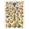 Affiche pédagogique Fruits Cavallini