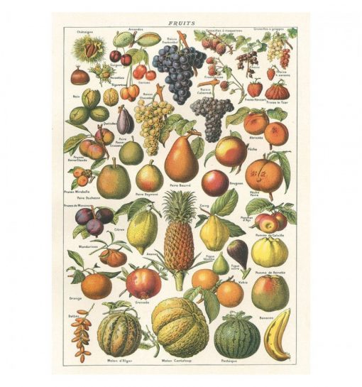 Affiche pédagogique Fruits Cavallini