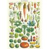 affiche vintage legumes