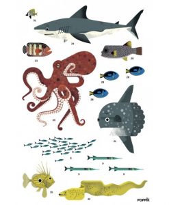Poster géant + 59 stickers – Animaux des Océans (6-12 ans)