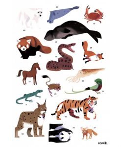 Poster géant + 76 stickers – Animaux du monde (5-12 ans)