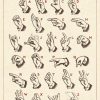 affiche langage des signes cavallini