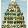 Affiche Pyramide des Arbres Cavallini