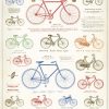 Affiche vélo rétro Cavallini