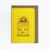 carte message you are my sunshine editions du paon