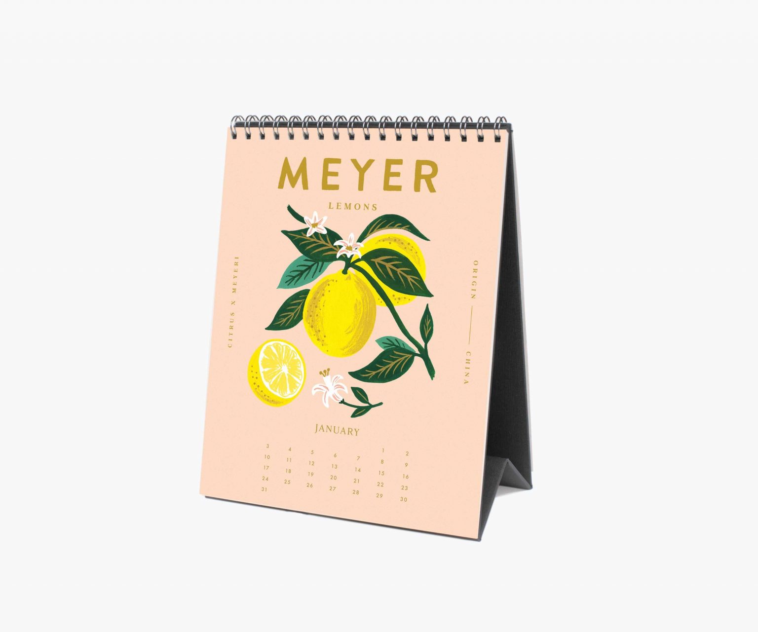 Calendrier Rifle Paper 2021 Lemon - Pastel Shop