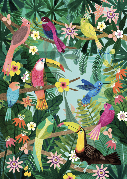 Poster Oiseaux Tropicaux