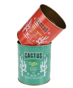 Set de 2 pots en métal – Boîtes de conserve Cactus