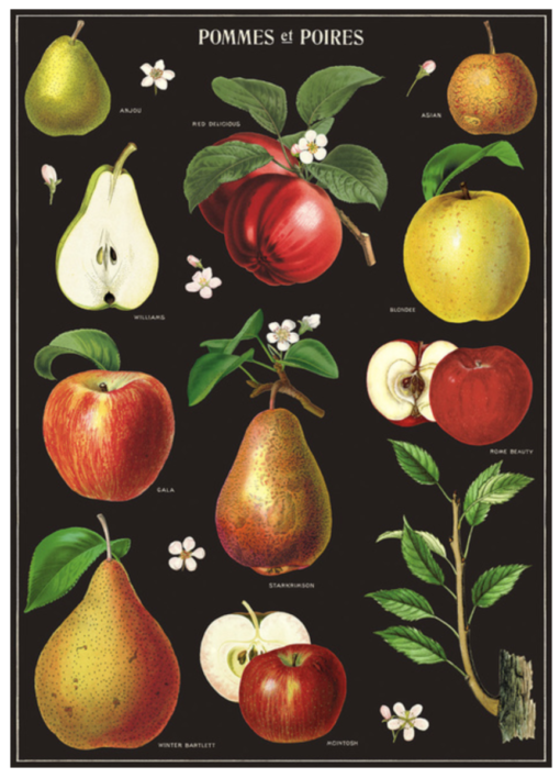 Affiche pédagogique Pommes Cavallini