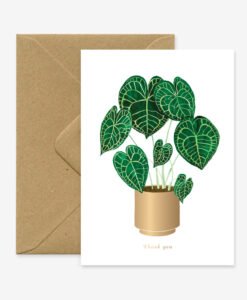 Carte merci Anthurium All The Ways To Say