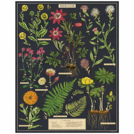 Puzzle Herbarium 1000 pièces Cavallini