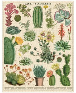 Puzzle Cactus et succulentes 1000 pièces Cavallini