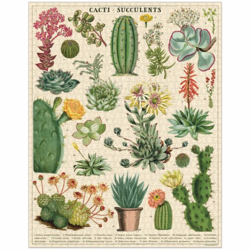 Puzzle Cactus et succulentes 1000 pièces Cavallini