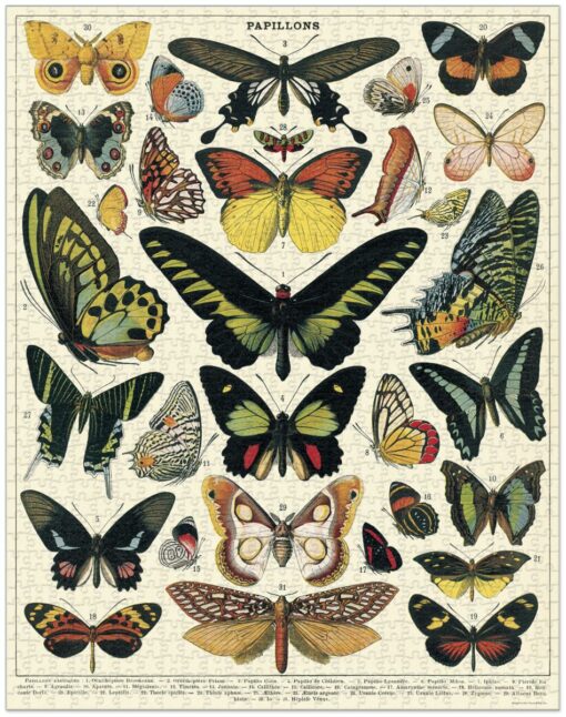 Puzzle Papillons 1000 pièces Cavallini