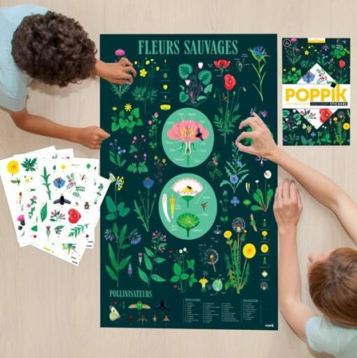 Poster pédagogique + 72 stickers – Botanique (7-12 ans)