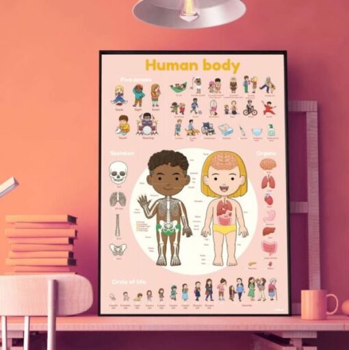 Poster géant + 49 stickers – Corps humain (3-7 ans)