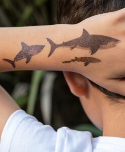 Tatouages temporaires requins Rex