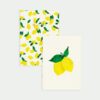 Carnets de poche Lemon- lot de 2
