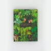 coffret-cartes-plante-box-x10-allthewaystosay-pastelshop