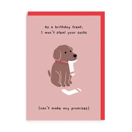 Carte anniversaire Chien Steal your sock