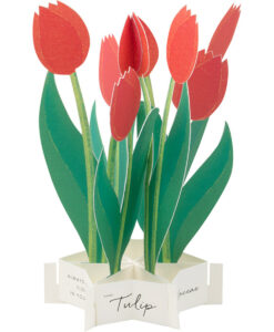 Carte Pop Up Tulipe