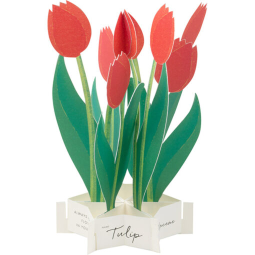 Carte Pop Up Tulipe