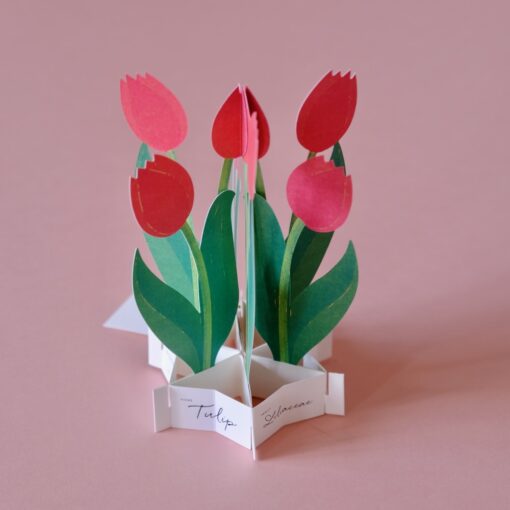 Carte Pop Up Tulipe