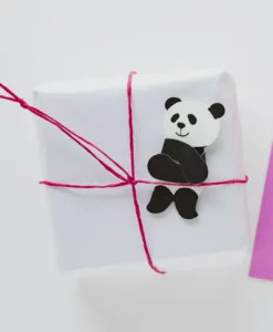 Mini Cartes Câlin Panda