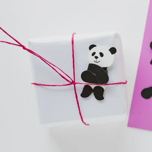 Mini Cartes Câlin Panda