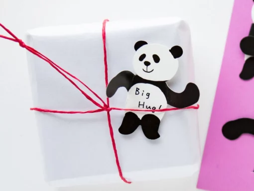 Mini Cartes Câlin Panda