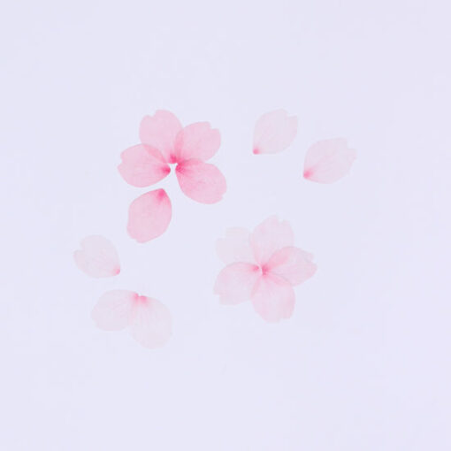 Masking tape Cherry blossom petals