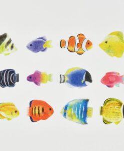 Autocollants Washi Poissons Tropicaux