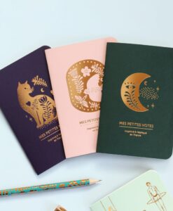 Trio de petits carnets Rêverie Les Editions du Paon