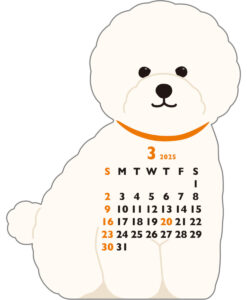 Calendrier Animal Die-Cut 2025 -Bichon Frisé