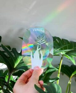 Sun Catcher / Rainbow Maker “Flourish”