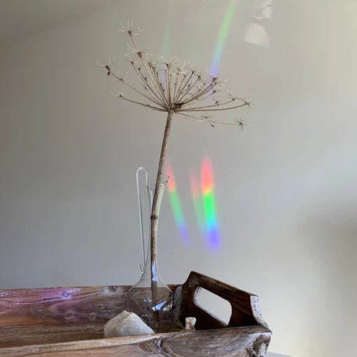 Sun Catcher / Rainbow Maker “You are the sunshine”