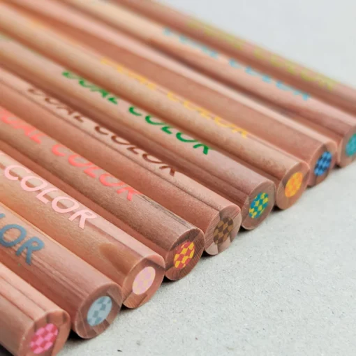 Crayons de couleur 2 en 1 Kokuyo