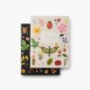 Carnets Rifle Paper Curio – Set de 2