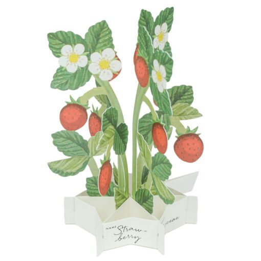 Carte Pop Up Fraise