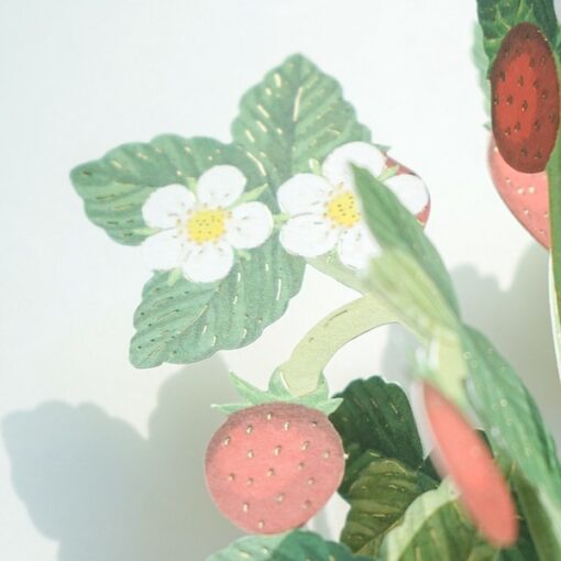 Carte Pop Up Fraise