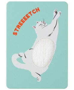 Carte tactile Chat – Shiro cat